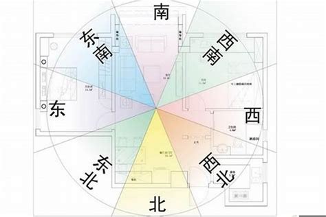 屬兔 方位|【屬兔房子坐向】屬兔住房指南：風水方位與最佳樓層